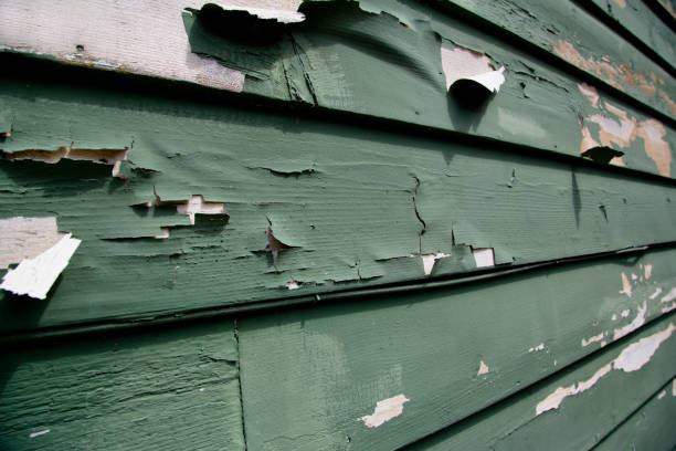 Best Garage Cleanout  in Sumiton, AL