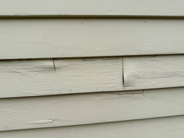 Best Shed Removal  in Sumiton, AL